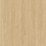 Golden Oak